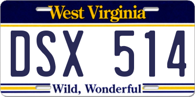 WV license plate DSX514