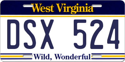 WV license plate DSX524