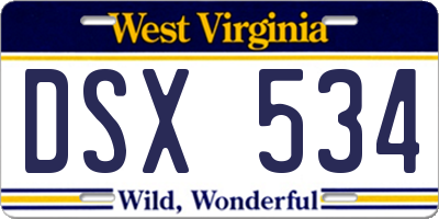 WV license plate DSX534