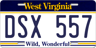 WV license plate DSX557