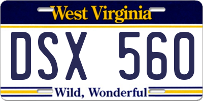 WV license plate DSX560