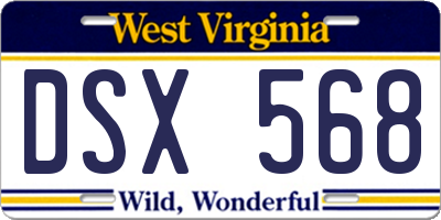 WV license plate DSX568