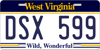 WV license plate DSX599