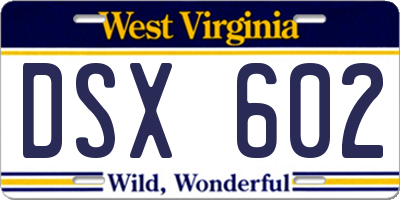 WV license plate DSX602