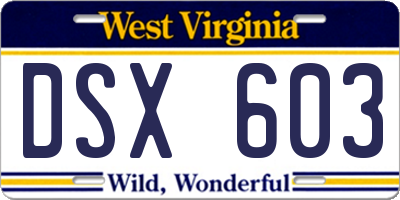 WV license plate DSX603