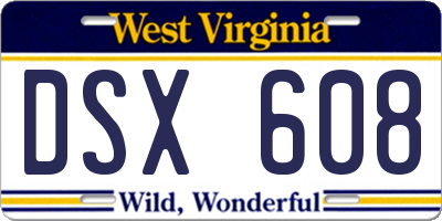 WV license plate DSX608