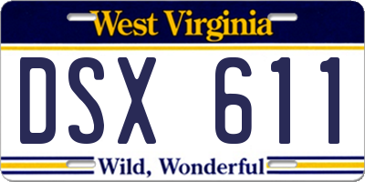 WV license plate DSX611