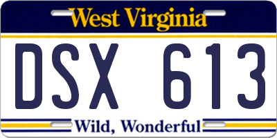 WV license plate DSX613