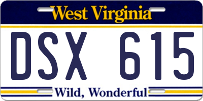 WV license plate DSX615