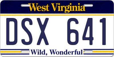 WV license plate DSX641