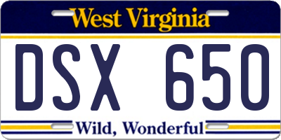 WV license plate DSX650