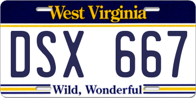 WV license plate DSX667