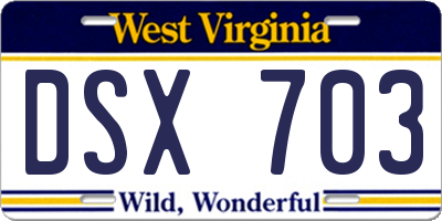 WV license plate DSX703