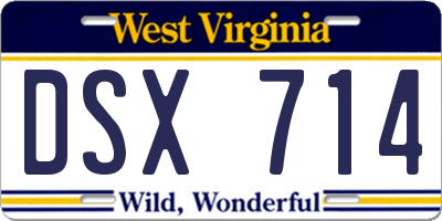 WV license plate DSX714