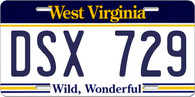 WV license plate DSX729