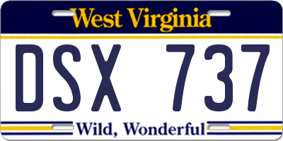 WV license plate DSX737