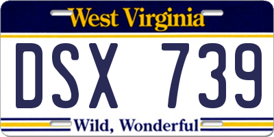 WV license plate DSX739