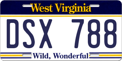 WV license plate DSX788