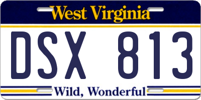 WV license plate DSX813