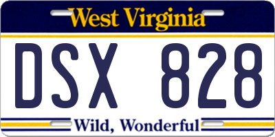 WV license plate DSX828