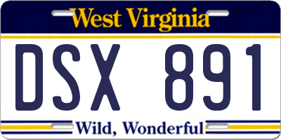 WV license plate DSX891