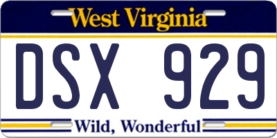 WV license plate DSX929