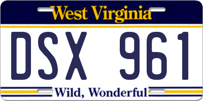 WV license plate DSX961