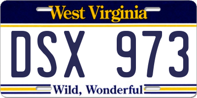 WV license plate DSX973