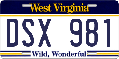 WV license plate DSX981