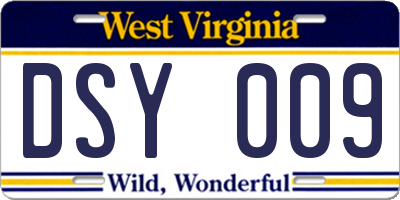 WV license plate DSY009