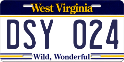 WV license plate DSY024