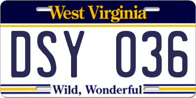 WV license plate DSY036
