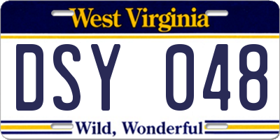 WV license plate DSY048