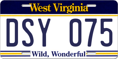 WV license plate DSY075