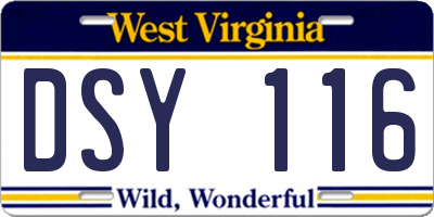 WV license plate DSY116
