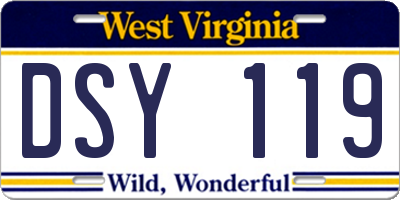 WV license plate DSY119