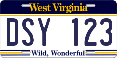 WV license plate DSY123
