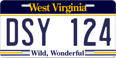 WV license plate DSY124