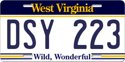 WV license plate DSY223
