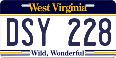 WV license plate DSY228