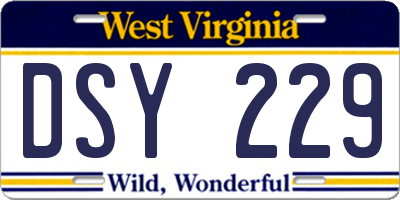WV license plate DSY229