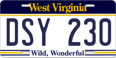 WV license plate DSY230