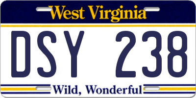 WV license plate DSY238