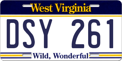 WV license plate DSY261