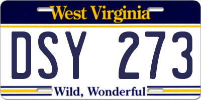 WV license plate DSY273