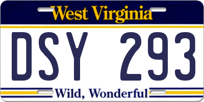 WV license plate DSY293