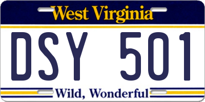 WV license plate DSY501