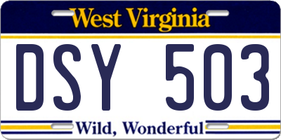 WV license plate DSY503
