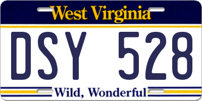 WV license plate DSY528