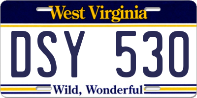 WV license plate DSY530